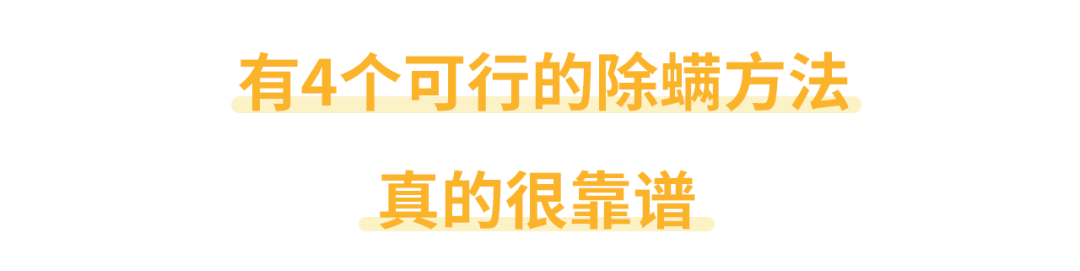 听说除螨仪根本没有用？那螨虫应该怎么除？